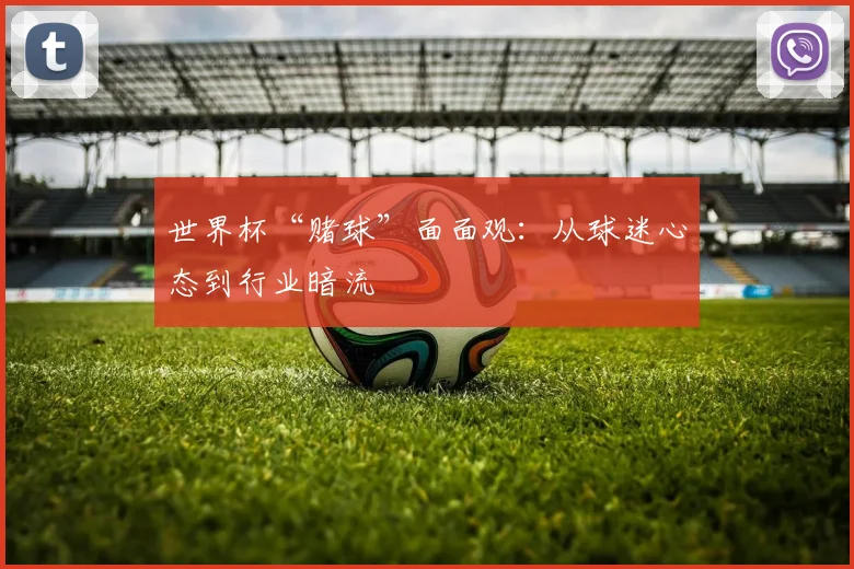 世界杯“赌球”面面观：从球迷心态到行业暗流
